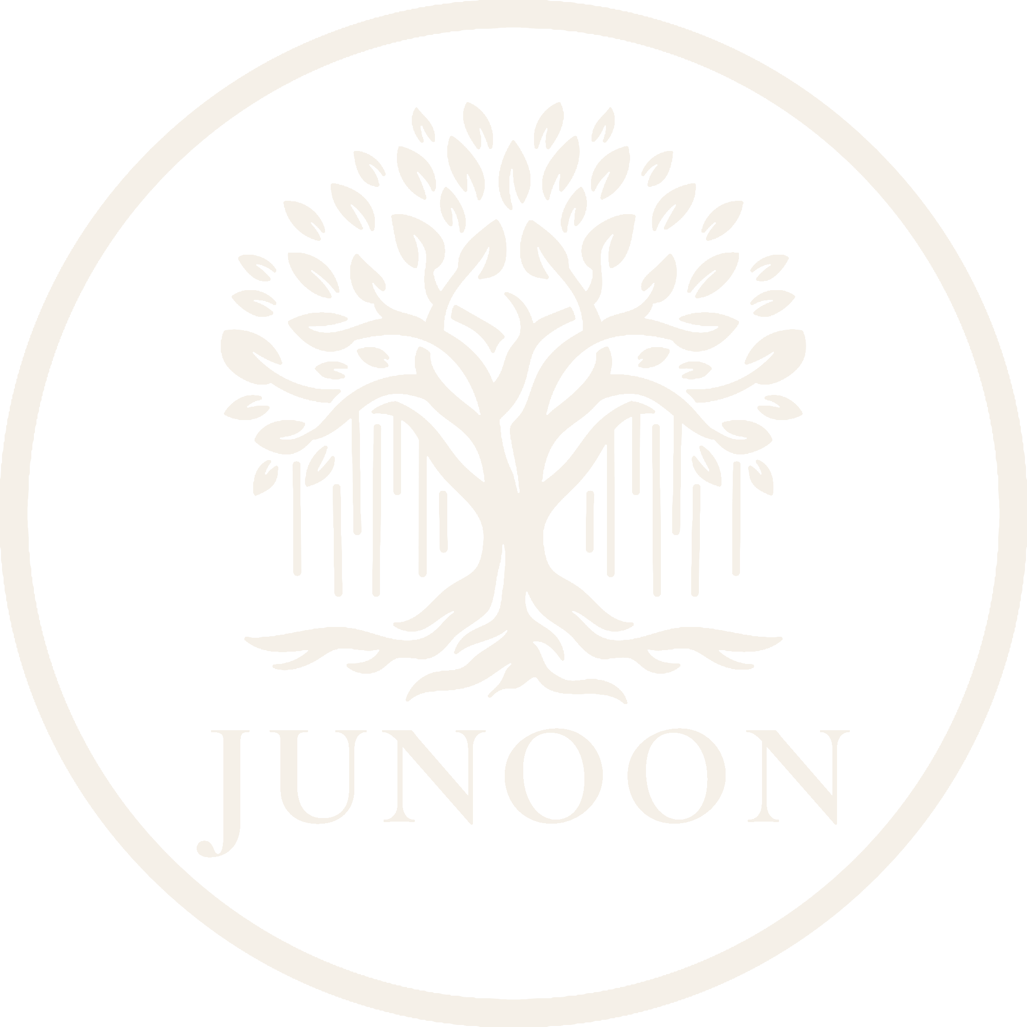 Junoon Coaching